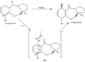 Thumbnail for version as of 12:28, 24 February 2011