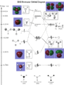 Thumbnail for version as of 16:37, 29 October 2009