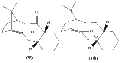 Thumbnail for version as of 11:00, 29 January 2010