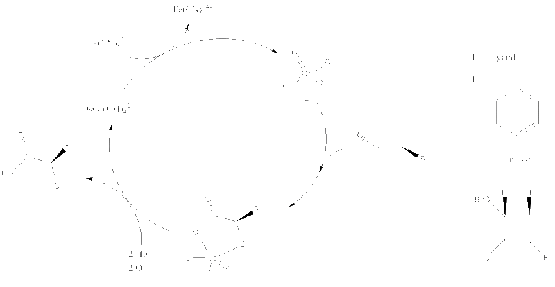 File:Catalytic Osmium Cycle.gif