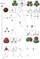 Thumbnail for version as of 18:44, 12 March 2012