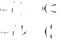 Thumbnail for version as of 13:53, 22 February 2011