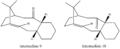 Thumbnail for version as of 15:23, 28 February 2010