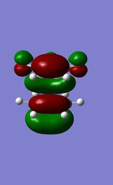 Homo Exo TS