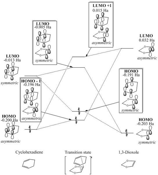 File:Lo915 2 endo MO.jpg