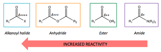 Carboxylic Acid Derivatives and their reactivity