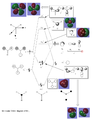 Thumbnail for version as of 07:47, 21 November 2014