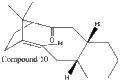 Thumbnail for version as of 15:32, 20 November 2011