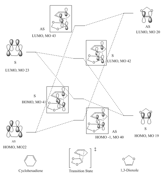 File:TFI15 Ex 2 endo MO.PNG