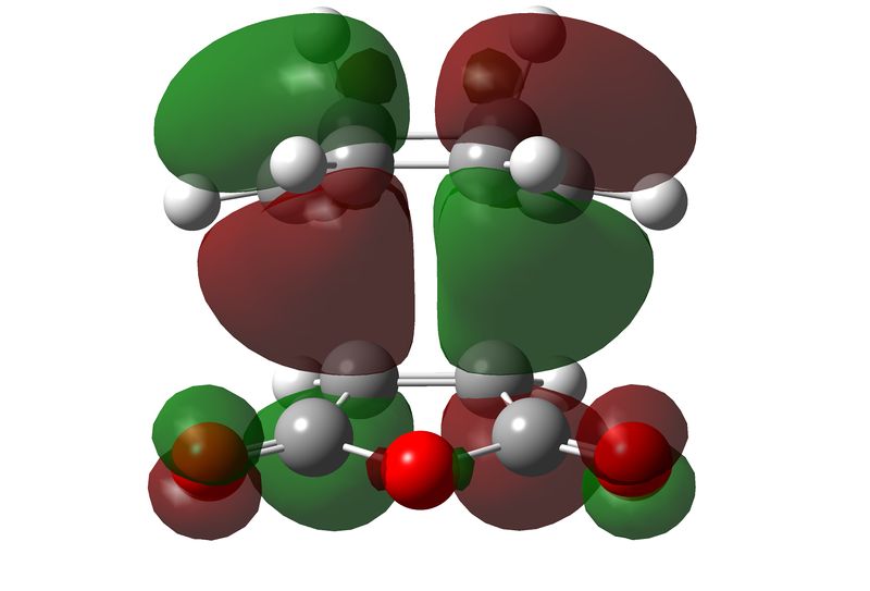 File:ENDOHOMO GF609.jpg