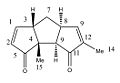 Thumbnail for version as of 13:14, 23 October 2009