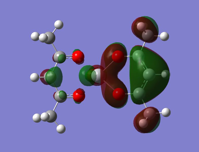 File:2+ BETA HOMO 62.jpg