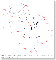 Thumbnail for version as of 11:25, 29 November 2013