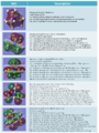 Thumbnail for version as of 17:57, 1 February 2014