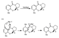 Thumbnail for version as of 23:13, 22 November 2010
