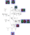 Thumbnail for version as of 15:54, 14 November 2014