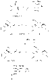 Thumbnail for version as of 16:18, 23 November 2009