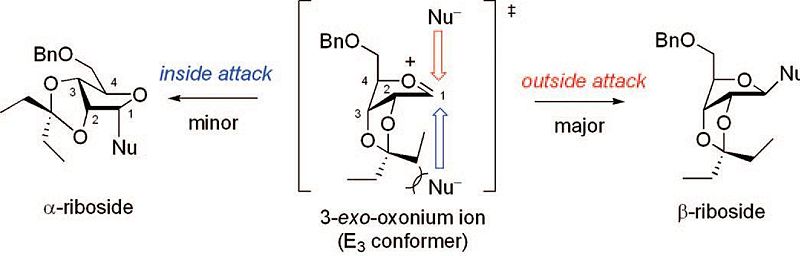 File:General reaction mini project.jpg