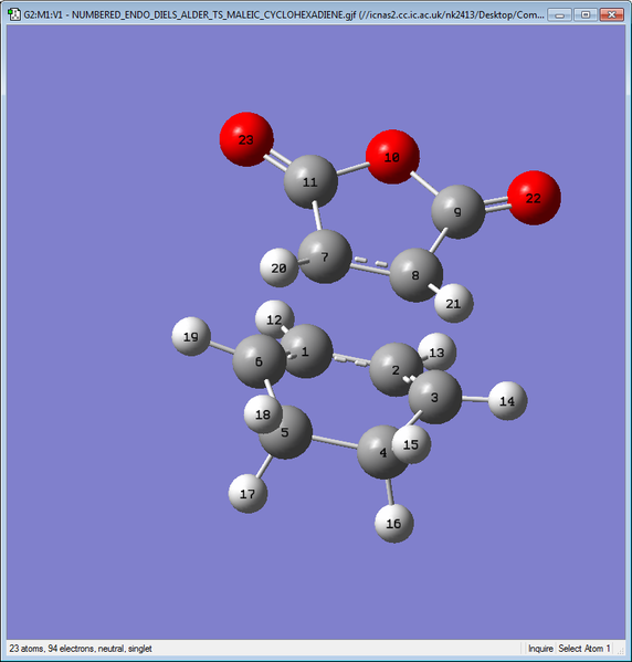 File:NUMBERED ENDO TS.png
