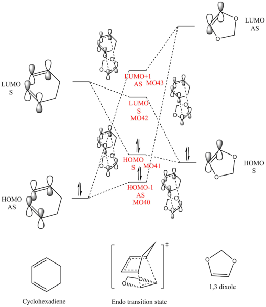 File:EXERCISE2-MO-ENDO-LWY.png