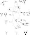 Thumbnail for version as of 21:26, 6 December 2009