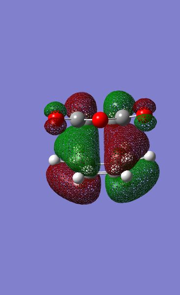 File:Endo homo sp3609.jpeg