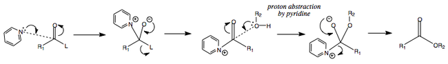 Mechanism for the reaction of a carboxylic acid derivative and pyridine