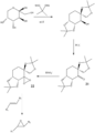Thumbnail for version as of 12:15, 1 November 2013