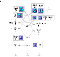 Thumbnail for version as of 04:02, 9 February 2010