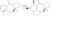 Thumbnail for version as of 16:35, 19 November 2009