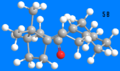 Thumbnail for version as of 20:47, 25 November 2008