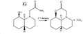 Thumbnail for version as of 15:16, 28 January 2009