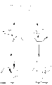 Thumbnail for version as of 00:33, 17 October 2011