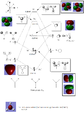 Thumbnail for version as of 15:26, 31 October 2011