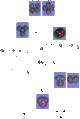 Thumbnail for version as of 03:26, 3 November 2009