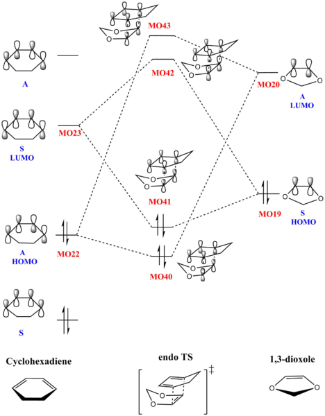 File:MO endo q2 llt15 631G.png