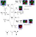 Thumbnail for version as of 14:40, 17 March 2012