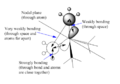 Thumbnail for version as of 14:43, 18 December 2014