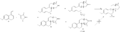 Thumbnail for version as of 14:33, 4 March 2011