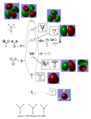 Thumbnail for version as of 16:04, 31 January 2014