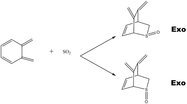Figure 16. Reaction Profile for different pathway