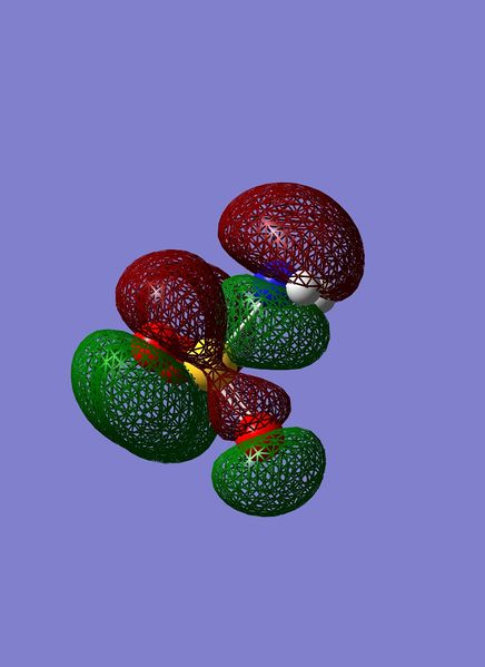 File:Anion homo-3sp.jpeg