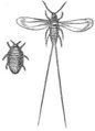 Thumbnail for version as of 12:49, 5 December 2006