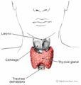 Thumbnail for version as of 12:00, 3 December 2007