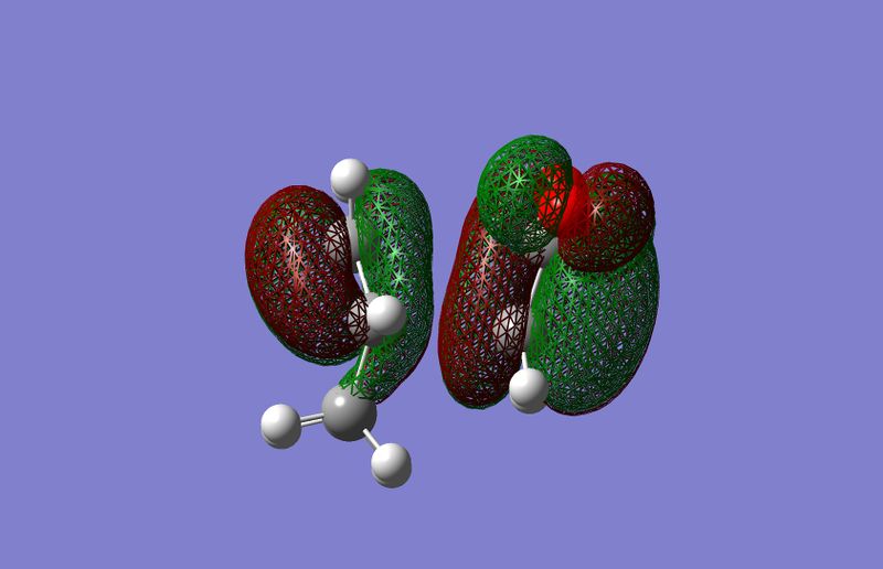 File:Endo homo2.jpg
