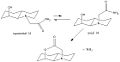 Thumbnail for version as of 16:07, 5 February 2009