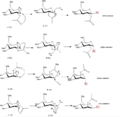 Thumbnail for version as of 08:19, 7 December 2012