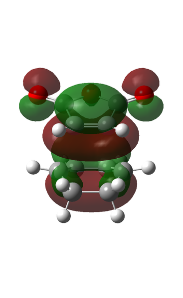 File:Abc ts endo mo46.png
