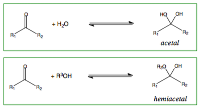 Reaction outlines for the addition of water and alcohols to carbonyls