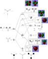 Thumbnail for version as of 12:23, 17 May 2018